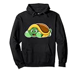 Tortue Cachette