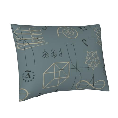 VOSERY Fundas de almohada de tamaño estándar, fundas de almohada súper suaves con cremallera, transpirables, resistentes a las arrugas y a las manchas, funda de almohada cuadrante de 20 x 26 pulgadas