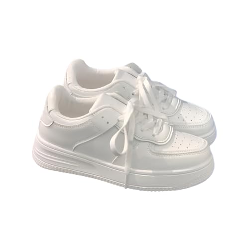 [Snughom] Xj[J[ fB[X 4cmg yʐ݌v ʋC JWA V[Y Of[VJ[ ɂ ₷ ϖՐ   JWA ʋ ʊw t  H