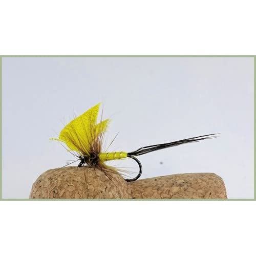 Barbless Yellow Drake Trout Flies, 6 pack size 10, Mayflies, fishing flies