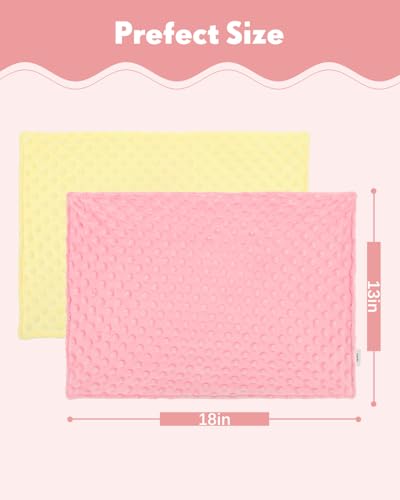 Image of ALVABABY Toddler Pillowcase Kids Pillow Cover Bean Velvet Soft Warm 2 Pack Fit 13 inchx 18 inch or 12 inchx16 inch Envelope for Girl Boy Sleepy Travel 2TPD03A