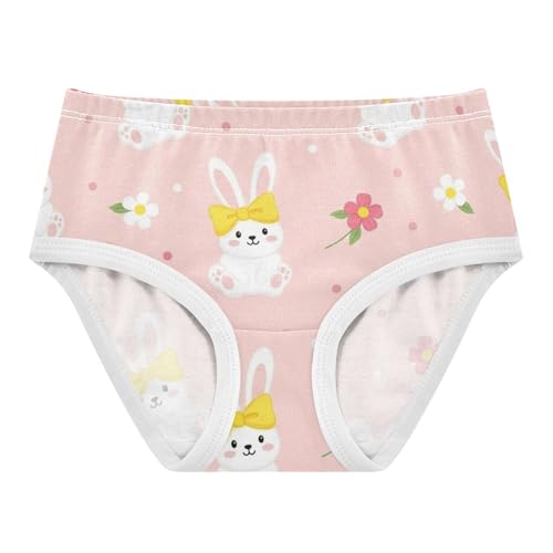 Cute Bunnies Rabbits Floral Pink Toddlers Underwear Floral 2t Cotton Little Girl Panties Bright Briefs Undies Kids