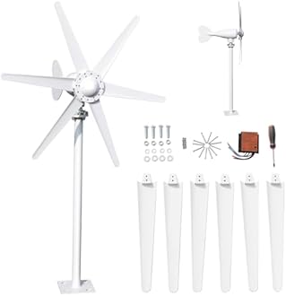 duwiikab 800W Wind Turbine, 6-Blade 12V/24V Wind Energy System, Wind Turbine Generator Kit, Home Wind Turbine, Full Power Protection Wind Generator for Boats Home Farm Industrial Charging White