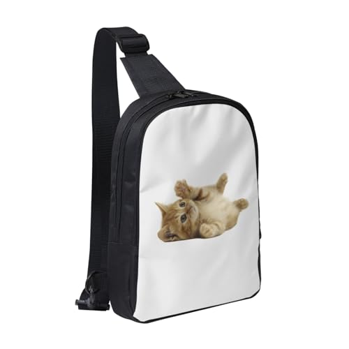 [RFSHOPWO] {fB[obO G gL lR V_[ {fB ΂ߊ| | Y fB[X EΉ e h y c^ AEghA ] ʋ ʊw s