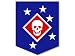 MARSOC Marine Raiders Insignia Shaped Sticker (usmc decal)