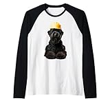 Black Russian Terrier Dog Yellow Hard Hat Helmet Worker Crew Raglan Baseball Tee