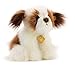 Plush & Company 15923 Lenny Shih Tzu Peluche, 30 cm