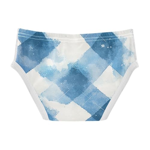 KLL Argyle Buffalo Plaid Tartan Check Scotland Blue White Toddler Boys' Cotton Underwear Cute Undies2