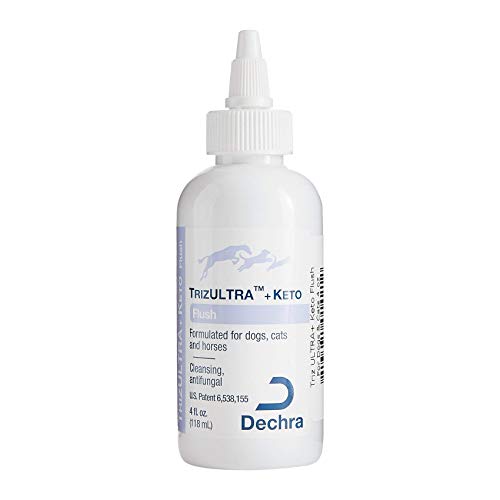 Flush Out Ear Infections with TRIZULTRA Keto - Top 10 Products for ...