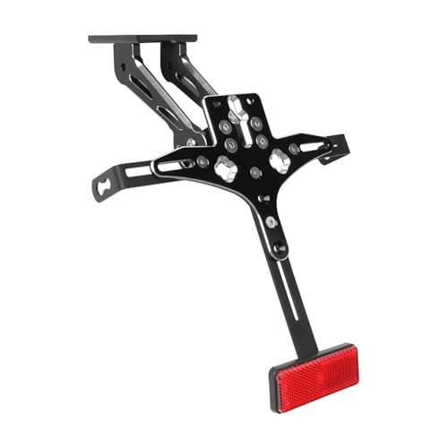 Support de Plaque Moto Robuste Cadre de Remplacement Rigide pour R1 04-08