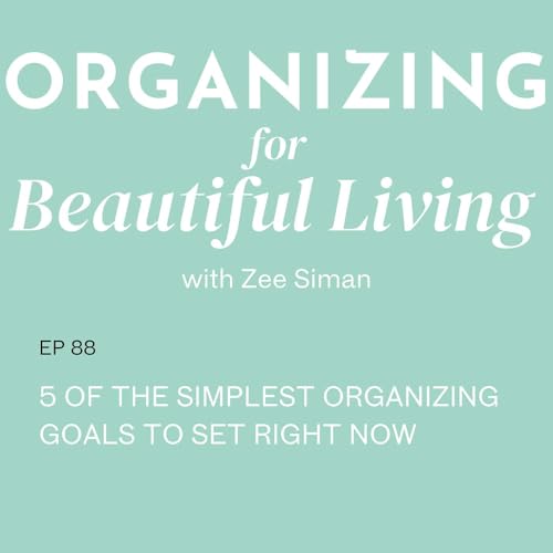 088. 5 of the Simplest Organizing Goals to Set Right Now