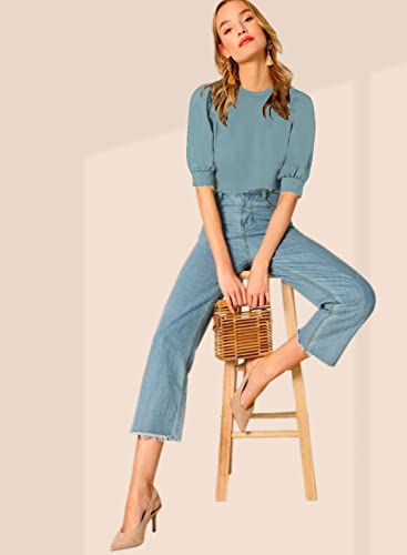 Image of Dream Beauty Fashion Women's Puff Sleeve Round High Neck Top Balloon Bishop Sleeve Elegant Casual Tee (23 inch Inches)- (Top Sofia P)
