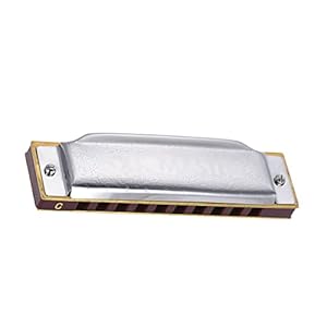 Yuxahiugkq Armonica 10 gat 20 Tone Diatonic Blues Harmonica Beginner Ten Gat Beginner C/A/B/D/E/F/G