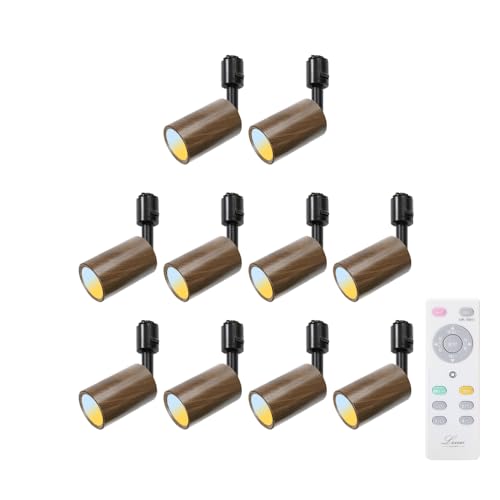 Allegro Lighting _Ng[ X|bgCg Ɩp _Ng[p CeBO[Ɩ Rt  100W` Ɩ V led F F F dF LED ̌^ [Cg _CjO