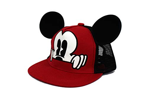 Toddler Baseball Hat Kids Protective Cartoon Baseball Caps Hip Hop Cool Hats for Boys and Girls 2-8 Years (C)