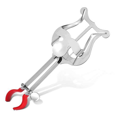 VICASKY Clarinet Lyre Holder Music Book Clip Instrument Score Clip Sheet Band Accessory Music Lyre Stand for Clarinet