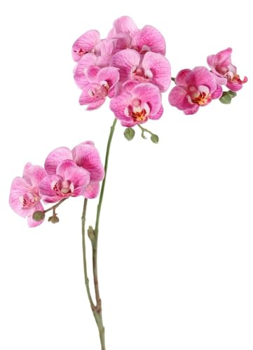artplants.de Kunst Zweig Phalaenopsis Orchidee VILLANI, rosa-pink, 65cm - Künstlicher Orchideenzweig