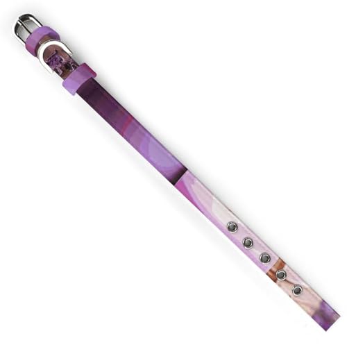 Collier réglable pour chien violet lavande chat petite moyenne taille