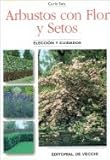 De Vecchi