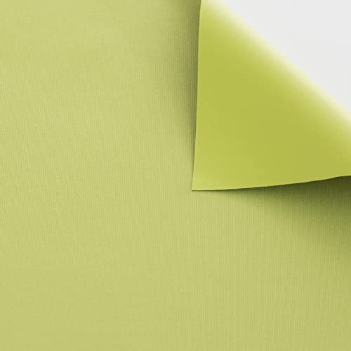 Blindecor Draco Tenda a rullo oscurante - Verde