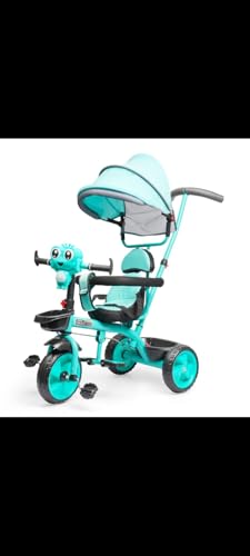 Image of Children Tricycle with Parental Control Push Handle and Canopy, Sky Blue