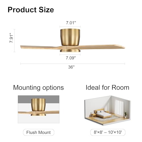 WINGBO 36 Inch Ceiling Fan with Light and Remote, Low Profile Flush Mount Modern Ceiling Fan, 3CCT Dimmable Light, Quiet Reversible DC Motor, 6 Speed, Wood Blades, Gold/Light Oak, for Bedroom, Kitchen by WINGBO - Used condition - Image 3