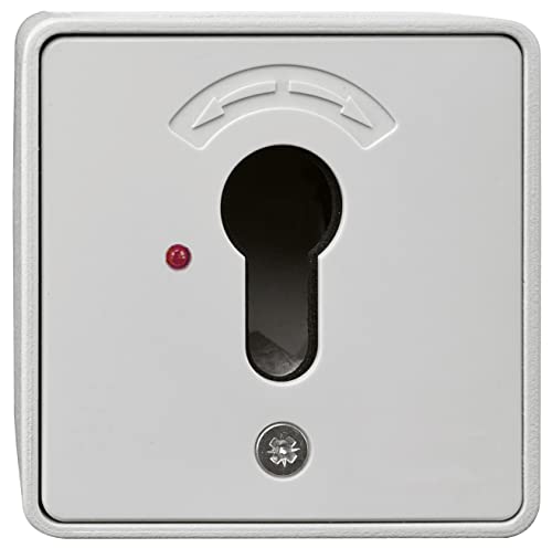 Schlüsseltaster Aufputz ohne Zylinder - 4594 - (Gehäuse Metall, Abdeckung Kunststoff), 80000008