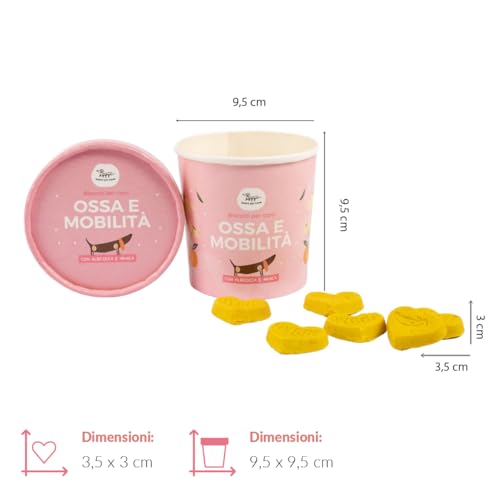 Hygge Dog Hundekekse für Hunde, gegen Dermatitis | Reich an schwarzen Johannisbeeren für EIN strahlendes und gesundes Fell | Funktioneller Hundesnack Geschmack Johannisbeere | 100 g | italienisches