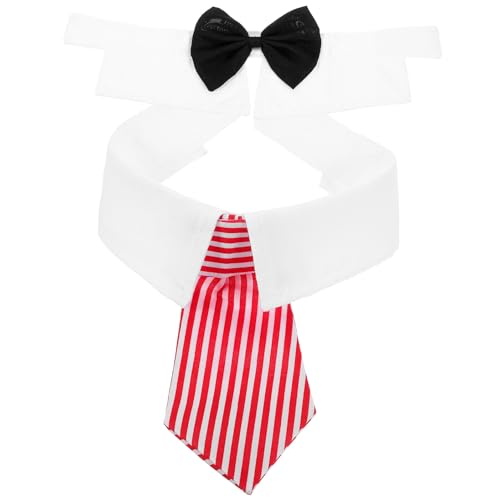 Frcolor ߉\ŌyʂȔLplbNJ[ lN ԎȃlN ybgꑕ   p[eB[p KʋC