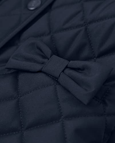 Gymboree Girls' and Toddler Dressy Coat2