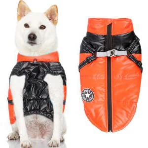 ZIBUYU® Black Dog Jackets Winter Clothes-Warm Zip Up Dog Vest Fleece Jacket with Dual D Ring Leash - Water Resistant Small Dog Sweater for Small and Medium Dog(2XL) (B0BJMNGWL9) Amazon Price History, Amazon Price Tracker