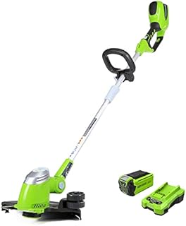 Greenworks 40V 13
