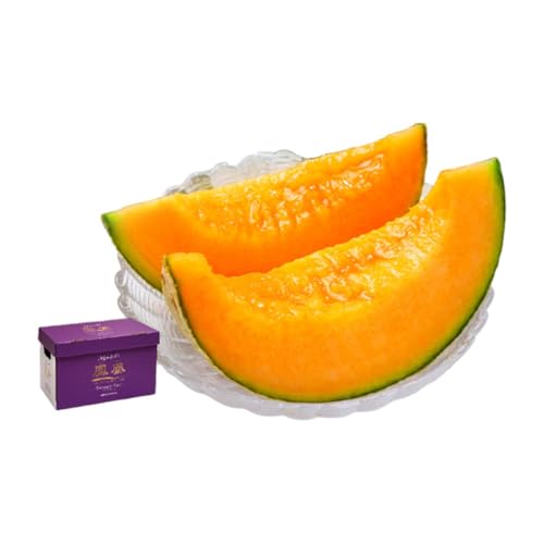 [9月限定特別価格★]ふらの山部の絶品メロン『鳳凰』 2L(1.8〜2kg)×2玉(坂口農産)メロン フルーツ 果物 新鮮 甘い 贈り物 ギフト 道産 ジューシー おやつ ふらの ブランド 夏