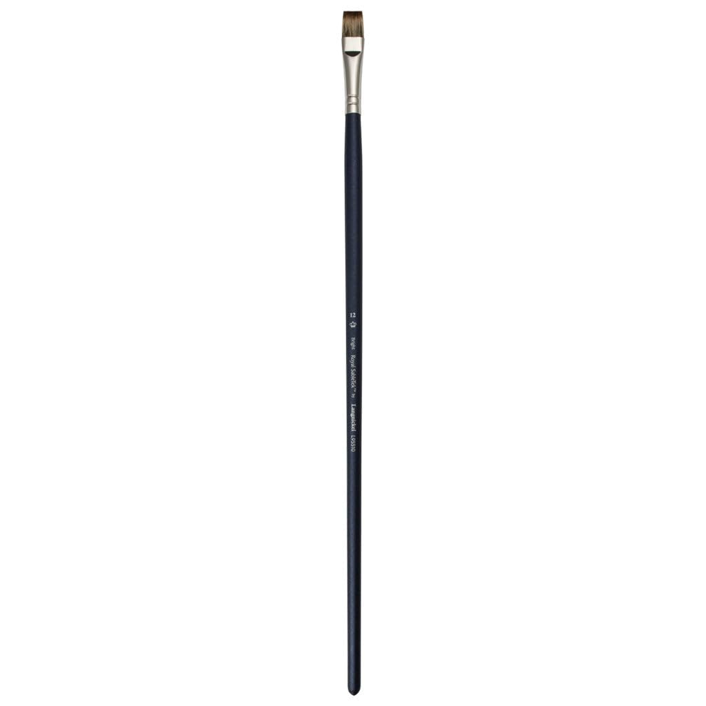 Royal & Langnickel L95510 - Spazzole Sabletek con manico lungo, 16 pezzi