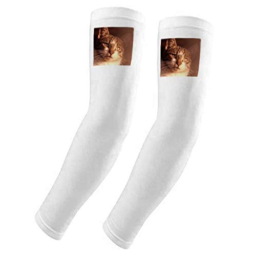 Housse de gants pour chat sentimental Simpol protection UV manchette