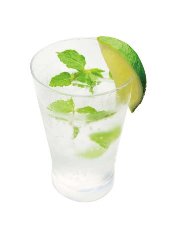 Torani Mojito Mint Syrup, 750 ml Bottle - image 6