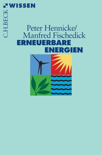 Erneuerbare Energien: Mit Energieeffizienz zur Energiewende (C.H.BECK Wissen)