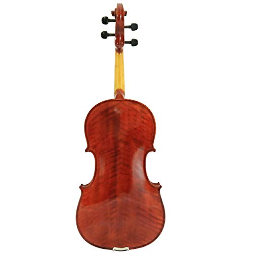 D'luca Pdz02-16.5 16.5-Inch Orchestral Series Viola Outfit #TOP1