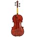 D'Luca PDZ02-14 14-Inch Orchestral Series Viola Outfit