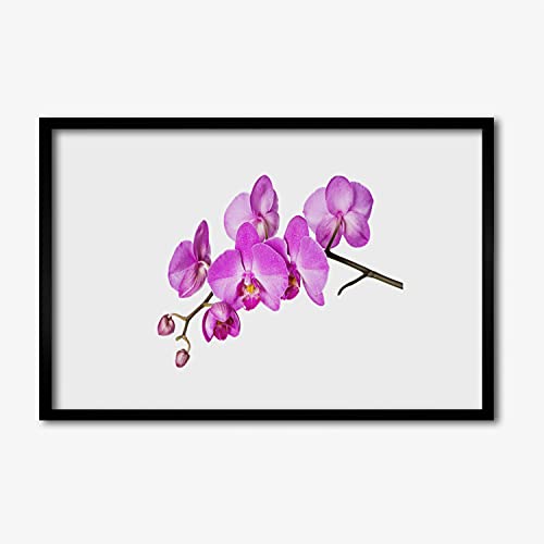 Cadre en MDF avec affiche fleurs d'orchidée de haute qualité 60x40 cm