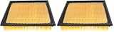 Motorcraft FA1883 Air Filter (Pack of 2)