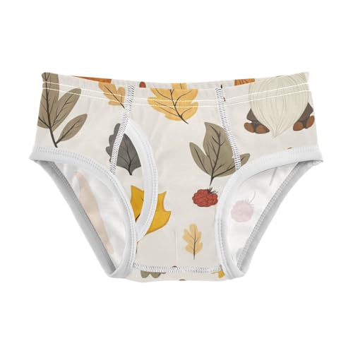KLL Autumn Gnomes Yellow Leaves Berries Vintage Boys Toddler Comfort Briefs Underwear Cute Undies