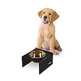 Picture of The LICKER Store DBL2002B Keaton 5" Small/Medium Modern Acrylic Rectangular Elevated Pet Feeder with 20oz 1-Stainless Steel Bowl, Black/Gold