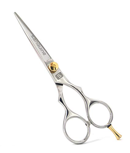 Professional Hair Scissors, Hairdressing Scissors, Barber Scissors - 6 inch + Presentation Case & Tip Protector