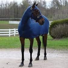 Full Body Sleazy Navy XL