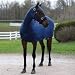 Sleazy Sleepwear For Horses BL044001 Full Body Sleazy Navy XL