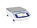 Radwag WLC 10.X2 Precision Balance