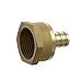 Jones Stephens C76041LF 1/2" FIP Brass PEX Adapter - Brass