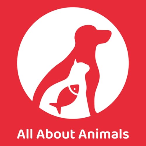 Page de couverture de Animal