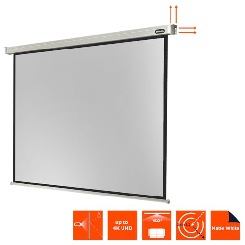celexon Professional Motor-Leinwand 95 | 200x150 cm 4:3 | elektrische 4K,Full-HD Beamer-Leinwand f&uuml;r Projektionen im B&uuml;ro & Heimkino | zur Decken-/ Wand-Montage | mit Fernbedienung